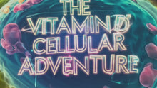 Laden und Abspielen von Videos im Galerie-Viewer, Die Reise von Vitamin D in die Zelle