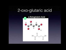 Laden und Abspielen von Videos im Galerie-Viewer, alphaH2+ Monatsvorrat - jetzt zuckerfrei!